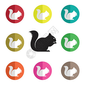 动物啮齿动物松鼠松鼠矢量组设计图片