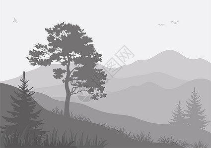 阿尔泰山地景观 树木和鸟类环境松树叶子气候针叶树远景森林树干植物公园设计图片