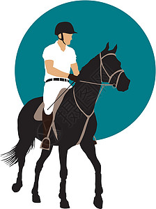 马乔列广场马术体育设计蓝色成功农场骑术插图跳跃训练竞赛赛车冠军设计图片