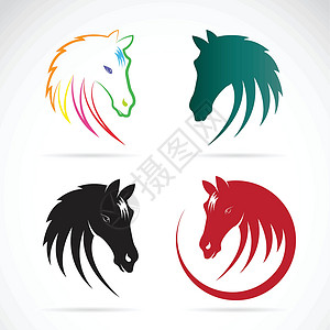 纯种马驹白色背景的马匹设计的矢量图像速度竞赛动物园十二生肖马背插图马具哺乳动物农场赛马设计图片