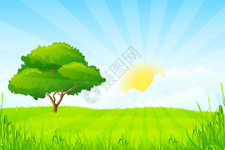 田园诗带树的绿色景观太阳晴天环境叶子阳光草本植物园艺天气季节牧场设计图片