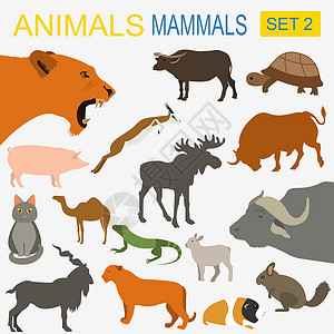 宠物动物群动物哺乳动物图标集 矢量平板样式闲人卡通片捕食者鱼子动物群野生动物森林奶牛宠物仓鼠设计图片