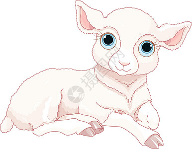 春天羊婴儿羊绘画农场插图新生邀请函夹子羊肉乐趣动物卡片设计图片