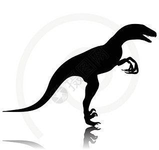 主龙类恐龙猛禽黑色冒充绘画草图剪贴阴影插图爬虫陆地白色设计图片