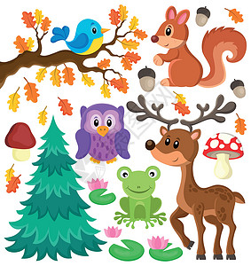 各种种类的鹿森林动物主题集1设计图片