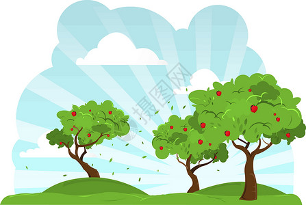 果园生草风中喷洒的苹果树设计图片