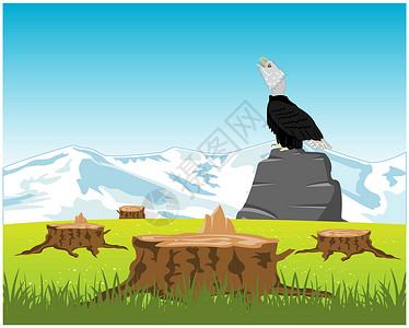 雪浪石在石头上锯下木头和老鹰设计图片