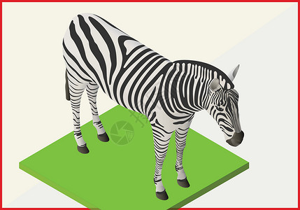 百日草属Zebra平坦矢量3d设计图片