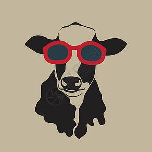 牵着牛戴着眼镜的牛的矢量图像奶制品框架魅力艺术农场牛奶潮人快乐太阳镜插图设计图片