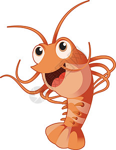 一只虾插图有趣的虾设计图片