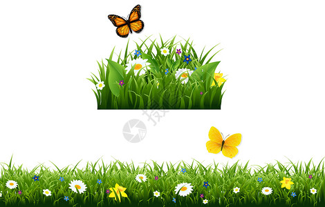 洋水仙福尔斯边境雏菊场地花园季节昆虫水仙艺术插图蝴蝶植物设计图片