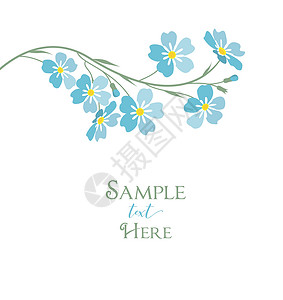 漂亮勿忘我花语矢量蓝色勿忘我花假期植物花束花瓣绘画花园庆典框架边界卡片设计图片