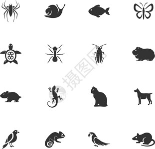 鹊宠物类型图标集设计图片