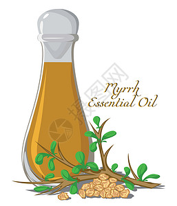 天然农家蜂蜜药草干油设计图片