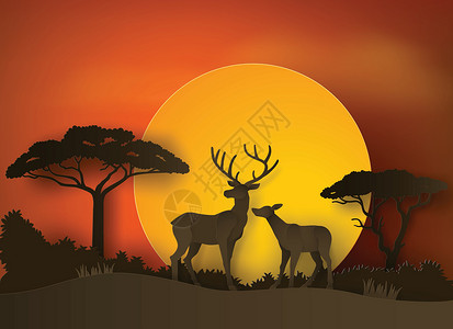 鹿尾巴日落森林中的鹿设计图片