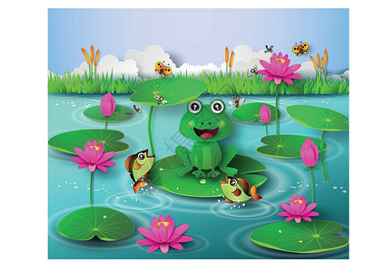 荷花里花仙子池塘里的青蛙热带生物荒野两栖叶子动物野生动物脊椎动物设计图片