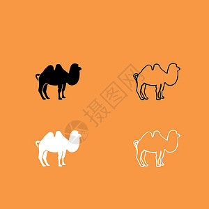 黑白骆驼图标设计图片