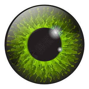 看对眼白色 b 上孤立的绿色虹膜眼逼真矢量集设计眼睛镜片插图棕色光学鸢尾花灰色艺术反射球体设计图片