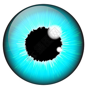 榛菇Blue iris 眼睛符合实际的矢量组合设计 在白柱上隔离光学绿色视网膜圆形瞳孔棕色解剖学宏观镜片反射设计图片