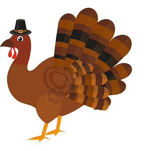 感恩节可爱火鸡感恩节火鸡在朝圣帽子图标中 平板风格 孤立于白色背景 矢量插图设计图片
