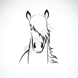 黑色马头白色背景的马头设计矢量 马路标 W马术骑术哺乳动物运动野马荒野绘画力量农场自由设计图片