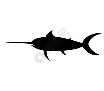 白色鱼箭鱼图标徽章插图蓝色动物卡通片条纹海洋跳跃吉祥物快乐设计图片