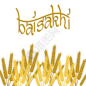 毗婆沙那假日白沙基 锡克教徒的新年食物问候语收成粮食小麦仪式传统农业季节假期设计图片