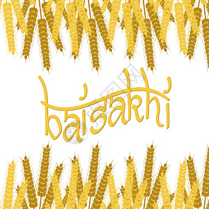 假日白沙基 锡克教徒的新年仪式宗教插图小麦食物传统萝莉庆典文化季节设计图片