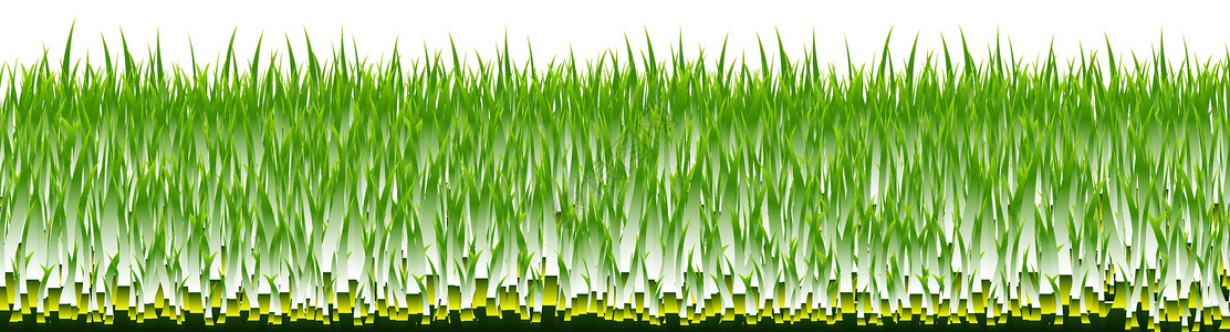 森女系绿草边框区系花园框架园艺分支机构植物树木阳光生态叶子设计图片