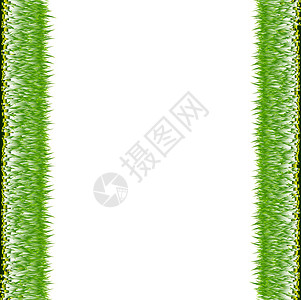 森女系白色背景上的绿草框太阳树木公园阳光全景区系生态植物学框架花园设计图片