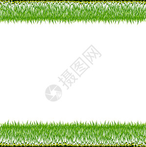 森铃公园绿草边框白色背景园艺太阳生长花园框架植物边界阳光公园分支机构设计图片