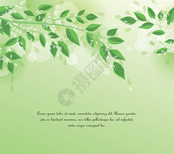 绿色叶子墙纸绿树离开生长横幅小册子花园植物森林环境活力插图生态设计图片