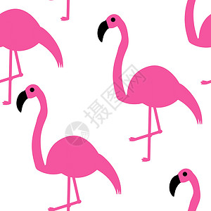 粉红可爱火烈鸟无缝模式 白色背景上的粉红火烈鸟设计图片