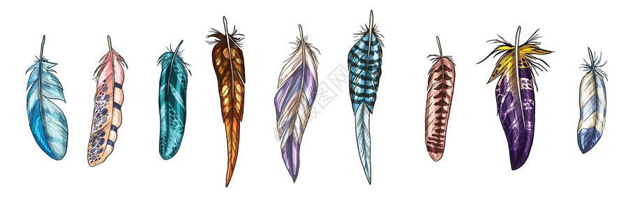 五颜六色的详细鸟羽毛隔离在透明的背景上 一套美丽的鸟羽毛 矢量图护符蓝色文化褐色紫色艺术打印护身符绿色装饰品设计图片