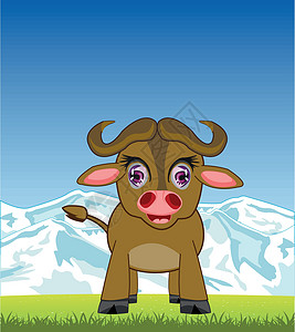 健壮的水牛在一年的牧草上 野牛用花朵放牧设计图片