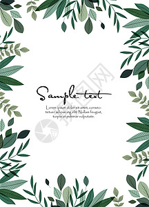 绿色橄榄框架有树叶的自然背景装饰花束植物海报花园边界明信片问候语婚礼横幅设计图片