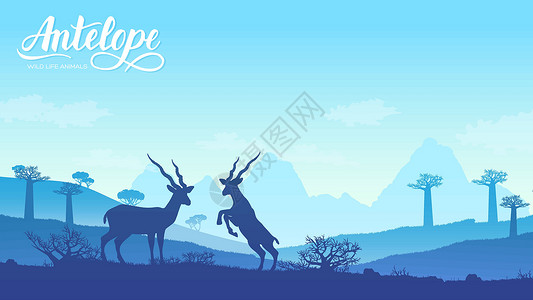 草原上羚羊两只羚羊互相玩耍的插图 以自然非洲概念为背景的野生动物 大草原上的野生动物设计图片