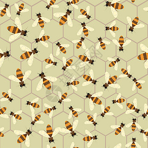甜玉酒抽象蜂蜜打印 矢量无缝模式与蜜蜂和 honeycom设计图片