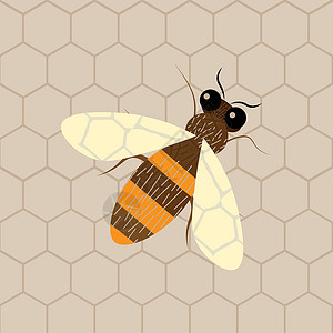 蜂蜜的质地蜂蜜和蜂蜜窝 现代抽象蜂蜜设计要素设计图片