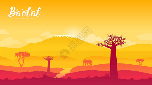 未受破坏纳米比亚的babobab树 非洲土地页墙纸设计概念设计图片