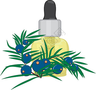 新鲜压榨橄榄油Juniper浆果树枝基本油设计图片