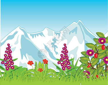 爬雪山过草地绿色的花和雪山 带花和雪山设计图片