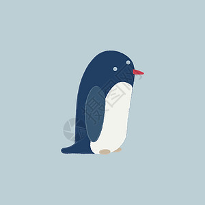 日本旭川动物园企鹅图片蓝色企鹅 矢量或颜色说明设计图片