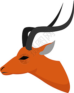 澳洲黑牛白色背景上的插图绘画麋鹿牛角收藏艺术动物喇叭哺乳动物脊椎动物设计图片