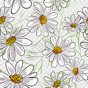 孤立的花瓣与的花卉花卉背景 向量墙纸花园叶子花瓣雏菊植物纺织品新娘草地蓝色设计图片