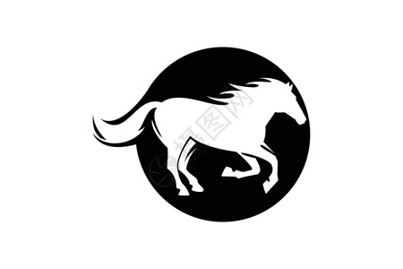 白色马马图标矢量剪影马日志力量插图运动骏马赛马鬃毛野马动物园头发速度设计图片