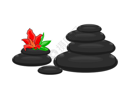 瑜伽老师与黑色泡沫轴SPA 鹅卵石与孤立在白色背景上的杜鹃花设计图片