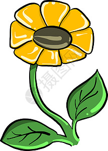 黄色德国洋甘菊在白色背景上雏菊插图花粉洋甘菊黄色甘菊花瓣花园植物学叶子设计图片