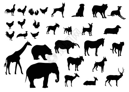 犀牛图标白色背景上各种动物的黑色剪影集设计图片