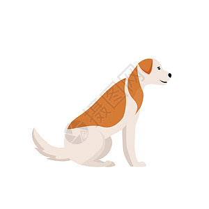 狗护理带姜斑点的狗平面颜色矢量特征设计图片